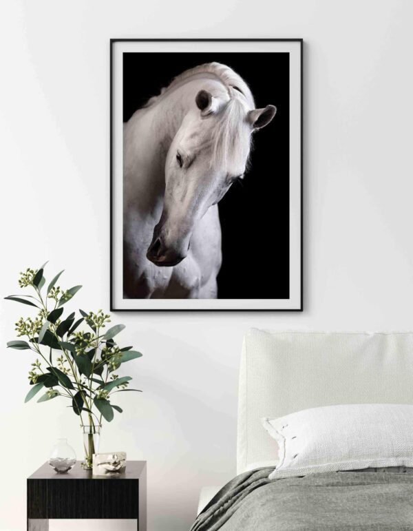 poster perete cal alb animale alb negru design interior tablouri decoratiuni, postere perete, postere pereti, postere mari de perete, tablou poster, postere inramate, postere bucuresti, tablouri scandinave, poster 50x70, tablouri, postere romania, tablouri moderne, design interior