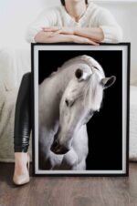 poster perete cal alb animale alb negru design interior tablouri decoratiuni, postere perete, postere pereti, postere mari de perete, tablou poster, postere inramate, postere bucuresti, tablouri scandinave, poster 50x70, tablouri, postere romania, tablouri moderne, design interior