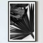 poster alb negru frunze tropicale design interior decoratiuni perete living dormitor hol, postere perete, postere pereti, postere mari de perete, tablou poster, postere inramate, postere bucuresti, tablouri scandinave, poster 50x70, tablouri, postere romania, tablouri moderne, design interior, poster alb negru