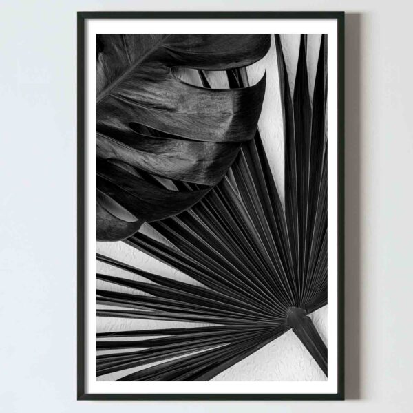 poster alb negru frunze tropicale design interior decoratiuni perete living dormitor hol, postere perete, postere pereti, postere mari de perete, tablou poster, postere inramate, postere bucuresti, tablouri scandinave, poster 50x70, tablouri, postere romania, tablouri moderne, design interior, poster alb negru