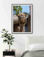 Poster pentru tablou Camila in desert, postere perete, postere pereti, postere mari de perete, tablou poster, postere inramate, postere bucuresti, tablouri scandinave, poster 50x70, tablouri, postere romania, tablouri moderne, design interior