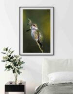 Poster pentru tablou Pasarea Colibri, postere perete, postere pereti, postere mari de perete, tablou poster, postere inramate, postere bucuresti, tablouri scandinave, poster 50x70, tablouri, postere romania, tablouri moderne, design interior