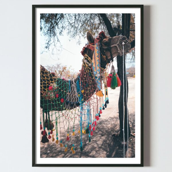 Poster pentru tablou Camila in desert, postere perete, postere pereti, postere mari de perete, tablou poster, postere inramate, postere bucuresti, tablouri scandinave, poster 50x70, tablouri, postere romania, tablouri moderne, design interior