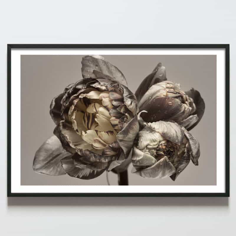 Postere perete fir de bujor gri cu bej, postere perete, postere pereti, postere mari de perete, tablou poster, postere inramate, postere bucuresti, tablouri scandinave, poster 50x70, tablouri, postere romania, tablouri moderne, design interior