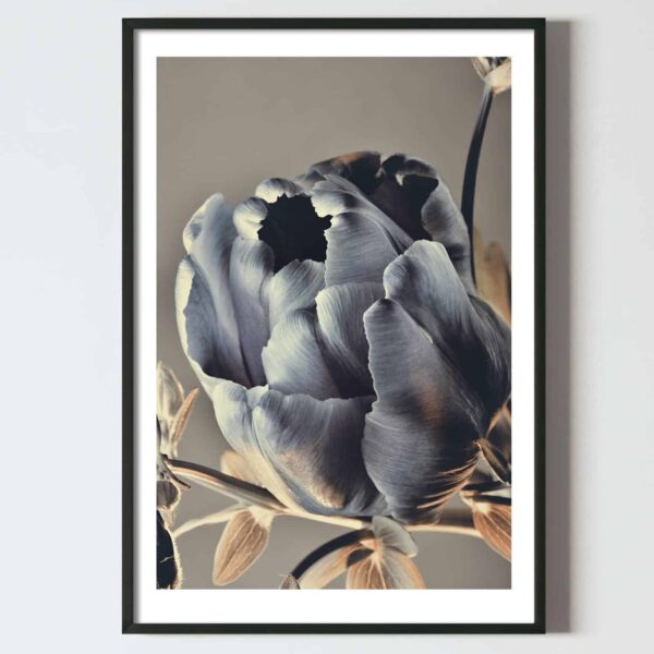 Postere perete fir de lalea gri cu auriu, postere perete, postere pereti, postere mari de perete, tablou poster, postere inramate, postere bucuresti, tablouri scandinave, poster 50x70, tablouri, postere romania, tablouri moderne, design interior