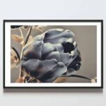 Postere perete fir de lalea gri cu auriu, postere perete, postere pereti, postere mari de perete, tablou poster, postere inramate, postere bucuresti, tablouri scandinave, poster 50x70, tablouri, postere romania, tablouri moderne, design interior