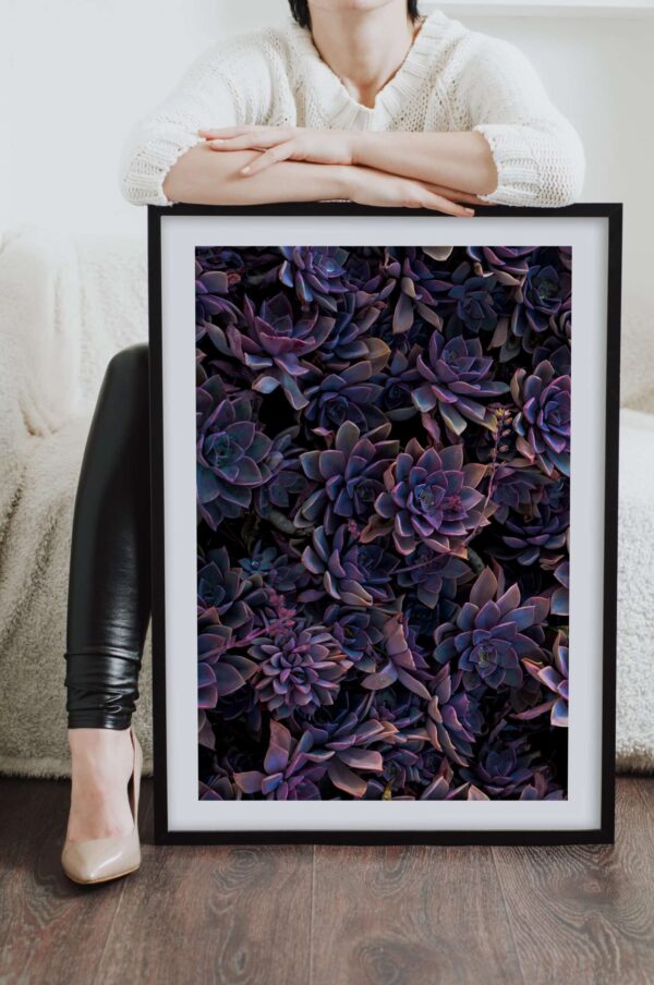 Postere perete plante suculente, postere perete, postere pereti, postere mari de perete, tablou poster, postere inramate, postere bucuresti, tablouri scandinave, poster 50x70, tablouri, postere romania, tablouri moderne, design interior