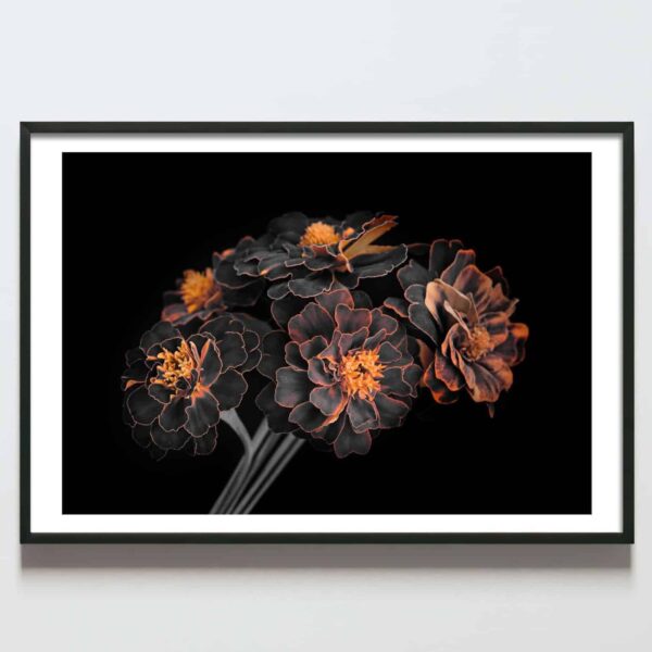 Postere perete buchet flori negru cu portocaliu, postere perete, postere pereti, postere mari de perete, tablou poster, postere inramate, postere bucuresti, tablouri scandinave, poster 50x70, tablouri, postere romania, tablouri moderne, design interior