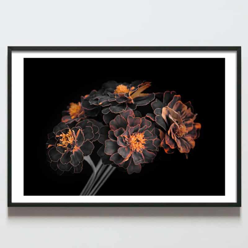 Postere perete buchet flori negru cu portocaliu, postere perete, postere pereti, postere mari de perete, tablou poster, postere inramate, postere bucuresti, tablouri scandinave, poster 50x70, tablouri, postere romania, tablouri moderne, design interior