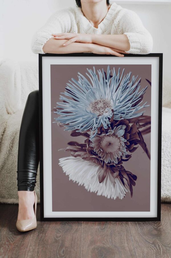 Postere perette buchet flori crizanteme alb si albastru, postere perete, postere pereti, postere mari de perete, tablou poster, postere inramate, postere bucuresti, tablouri scandinave, poster 50x70, tablouri, postere romania, tablouri moderne, design interior
