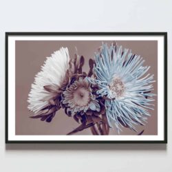 Postere perette buchet flori crizanteme alb si albastru, postere perete, postere pereti, postere mari de perete, tablou poster, postere inramate, postere bucuresti, tablouri scandinave, poster 50x70, tablouri, postere romania, tablouri moderne, design interior