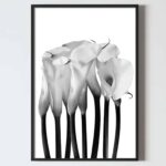 Postere perete buchet flori cu cale, postere perete, postere pereti, postere mari de perete, tablou poster, postere inramate, postere bucuresti, tablouri scandinave, poster 50x70, tablouri, postere romania, tablouri moderne, design interior
