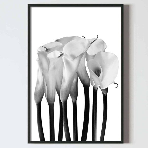 Postere perete buchet flori cu cale, postere perete, postere pereti, postere mari de perete, tablou poster, postere inramate, postere bucuresti, tablouri scandinave, poster 50x70, tablouri, postere romania, tablouri moderne, design interior