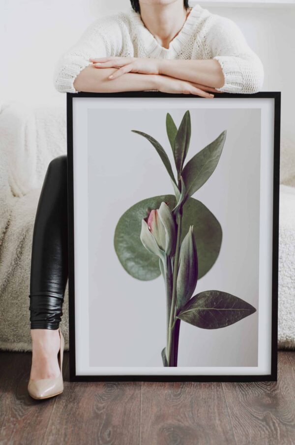 Postere perete flori planta exotica verde, postere perete, postere pereti, postere mari de perete, tablou poster, postere inramate, postere bucuresti, tablouri scandinave, poster 50x70, tablouri, postere romania, tablouri moderne, design interior
