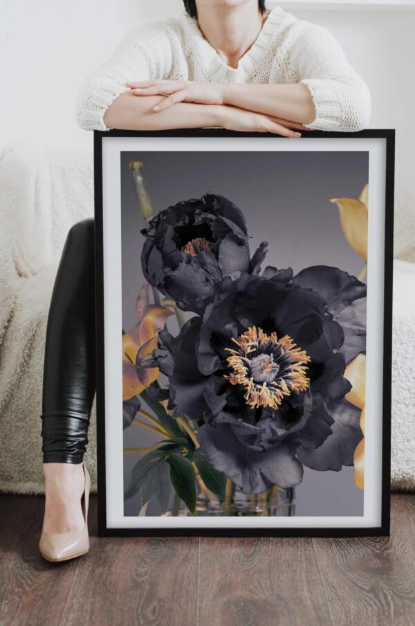 Postere perete flori bujori negrii, postere perete, postere pereti, postere mari de perete, tablou poster, postere inramate, postere bucuresti, tablouri scandinave, poster 50x70, tablouri, postere romania, tablouri moderne, design interior
