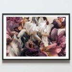 Postere perete flori irisi multicolori, postere perete, postere pereti, postere mari de perete, tablou poster, postere inramate, postere bucuresti, tablouri scandinave, poster 50x70, tablouri, postere romania, tablouri moderne, design interior