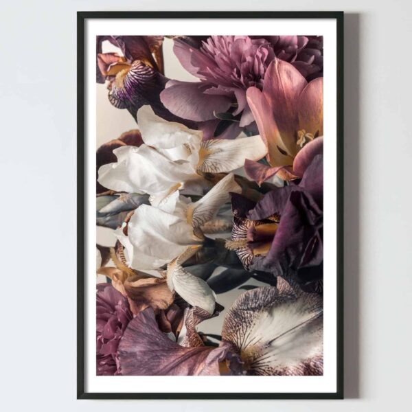 Postere perete flori irisi multicolori, postere perete, postere pereti, postere mari de perete, tablou poster, postere inramate, postere bucuresti, tablouri scandinave, poster 50x70, tablouri, postere romania, tablouri moderne, design interior