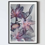 Postere perete flori irisi, postere perete, postere pereti, postere mari de perete, tablou poster, postere inramate, postere bucuresti, tablouri scandinave, poster 50x70, tablouri, postere romania, tablouri moderne, design interior