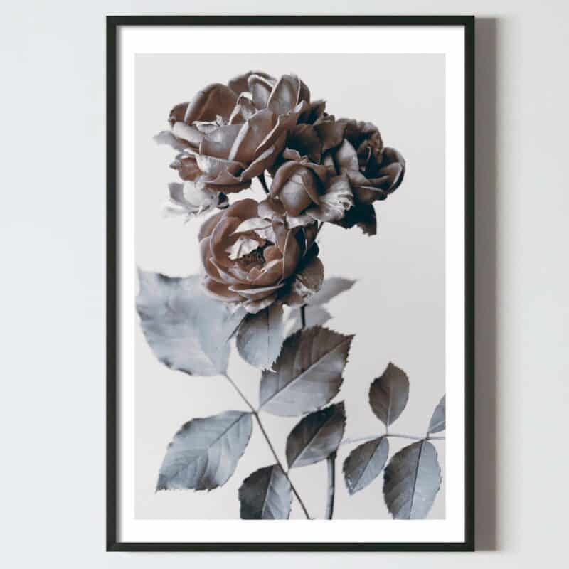 Postere perete flori fir de trandafir bej, postere perete, postere pereti, postere mari de perete, tablou poster, postere inramate, postere bucuresti, tablouri scandinave, poster 50x70, tablouri, postere romania, tablouri moderne, design interior
