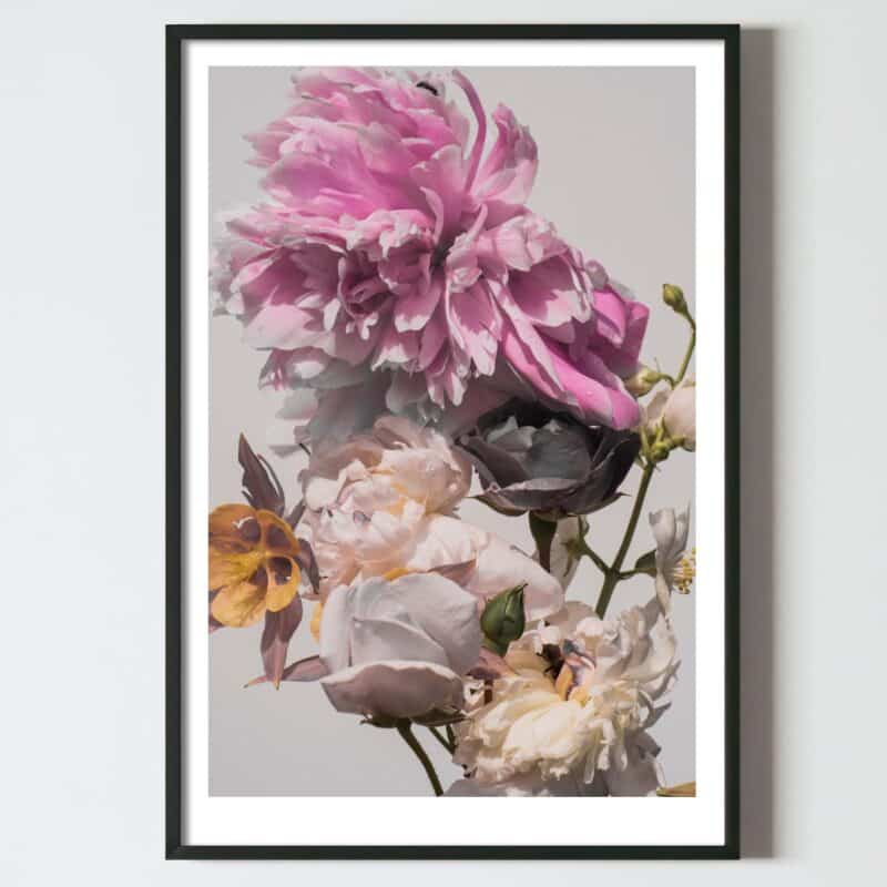 Postere perete flori de bujori colorati, postere perete, postere pereti, postere mari de perete, tablou poster, postere inramate, postere bucuresti, tablouri scandinave, poster 50x70, tablouri, postere romania, tablouri moderne, design interior