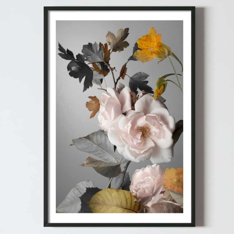 Postere perete flori trandafir roz pudra cu frunze tomnatice, postere perete, postere pereti, postere mari de perete, tablou poster, postere inramate, postere bucuresti, tablouri scandinave, poster 50x70, tablouri, postere romania, tablouri moderne, design interior