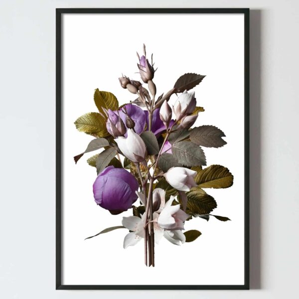 Postere perete, flori, buchet cu fir de bujor violet si trandafir, postere perete, postere pereti, postere mari de perete, tablou poster, postere inramate, postere bucuresti, tablouri scandinave, poster 50x70, tablouri, postere romania, tablouri moderne, design interior