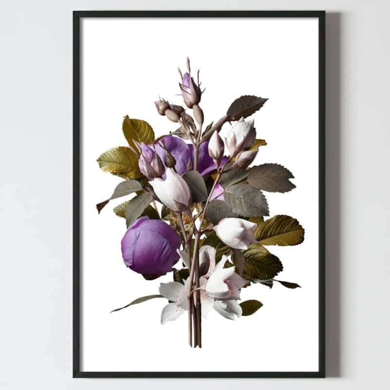 Postere perete, flori, buchet cu fir de bujor violet si trandafir, postere perete, postere pereti, postere mari de perete, tablou poster, postere inramate, postere bucuresti, tablouri scandinave, poster 50x70, tablouri, postere romania, tablouri moderne, design interior