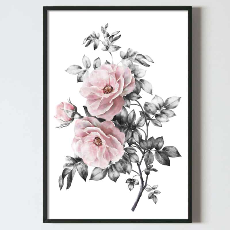 Poster tablou pictura digitala, flori, trandafiri, postere perete, postere pereti, postere mari de perete, tablou poster, postere inramate, postere bucuresti, tablouri scandinave, poster 50x70, tablouri, postere romania, tablouri moderne, design interior