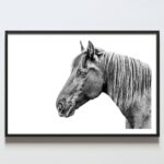 Poster tablou portret cal alb negru, postere perete, postere pereti, postere mari de perete, tablou poster, postere inramate, postere bucuresti, tablouri scandinave, poster 50x70, tablouri, postere romania, tablouri moderne, design interior