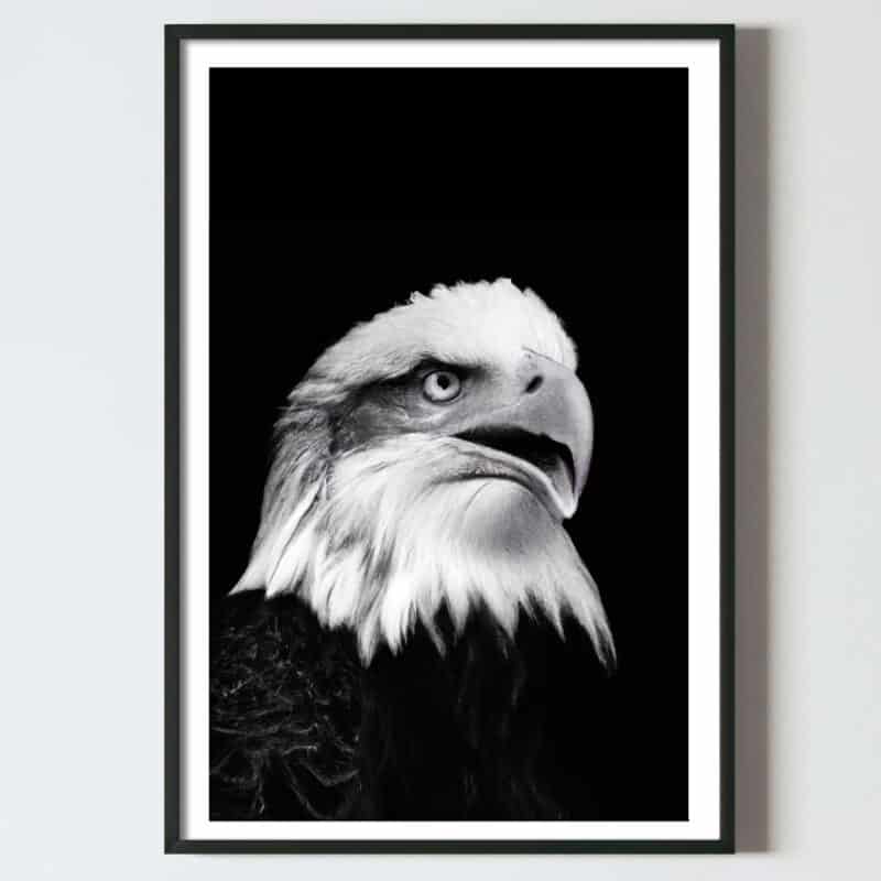 Poster tablou portret vultur alb negru, postere perete, postere pereti, postere mari de perete, tablou poster, postere inramate, postere bucuresti, tablouri scandinave, poster 50x70, tablouri, postere romania, tablouri moderne, design interior