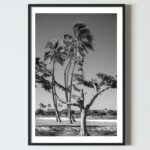 Poster tablou perete : natura, plaja si palmieri, , postere perete, poster pereti, postere mari de perete, tablou poster, postere inramate, postere bucuresti, tablouri scandinave, poster 50x70, tablouri, postere romania, tablouri moderne, design interior, poster alb negru