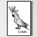 poster perete pasari tropicale, toucan. alb negru, design interior tablouri decoratiuni, postere perete, postere pereti, postere mari de perete, tablou poster, postere inramate, postere bucuresti, tablouri scandinave, poster 50x70, tablouri, postere romania, tablouri moderne, design interior