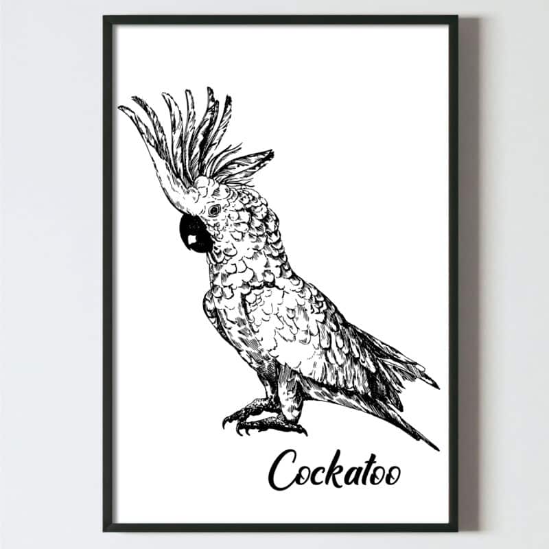 poster perete pasari tropicale, toucan. alb negru, design interior tablouri decoratiuni, postere perete, postere pereti, postere mari de perete, tablou poster, postere inramate, postere bucuresti, tablouri scandinave, poster 50x70, tablouri, postere romania, tablouri moderne, design interior