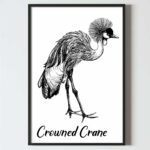 , poster perete pasari tropicale, toucan. alb negru, design interior tablouri decoratiuni, postere perete, postere pereti, postere mari de perete, tablou poster, postere inramate, postere bucuresti, tablouri scandinave, poster 50x70, tablouri, postere romania, tablouri moderne, design interior