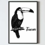 poster perete pasari tropicale, toucan. alb negru, design interior tablouri decoratiuni, postere perete, postere pereti, postere mari de perete, tablou poster, postere inramate, postere bucuresti, tablouri scandinave, poster 50x70, tablouri, postere romania, tablouri moderne, design interior