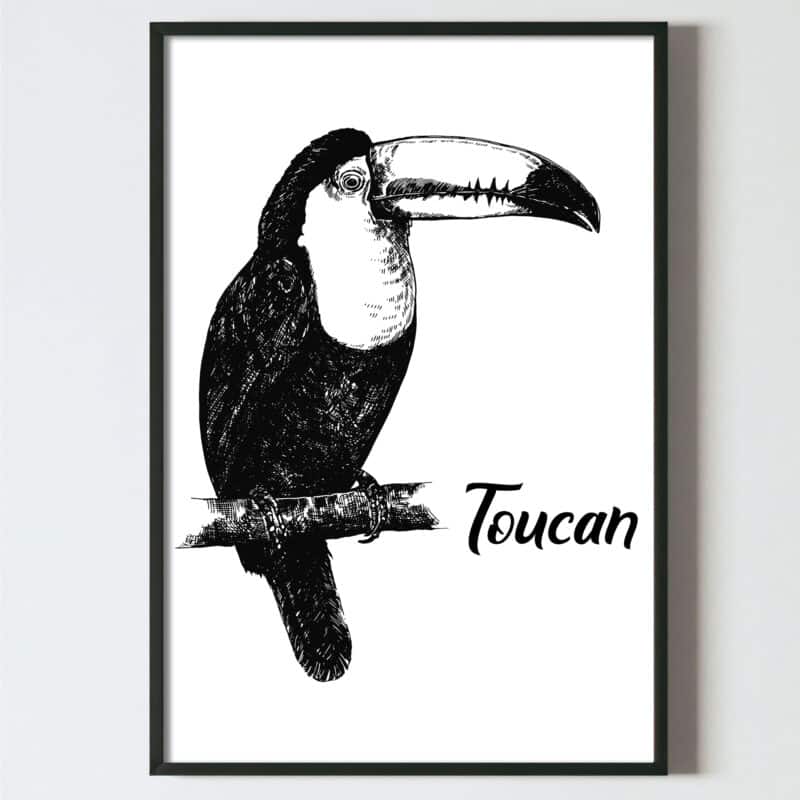 poster perete pasari tropicale, toucan. alb negru, design interior tablouri decoratiuni, postere perete, postere pereti, postere mari de perete, tablou poster, postere inramate, postere bucuresti, tablouri scandinave, poster 50x70, tablouri, postere romania, tablouri moderne, design interior