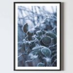 iarna, padure, peisaj, bucuresti, tablouri scandinave, poster 50x70, tablouri, postere romania, tablouri moderne, design interior, cabana, poster sarbatori, tablou sarbatori, tablou craciun, tablou mare, tablou 50x70, cadou inedit, cadou craciun, craciun, cadou mama, cadou invatatoare , dadou educatoare, cadou, tablou secret santa,