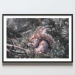 poster sarbatori, tablou sarbatori, tablou craciun, tablou mare, tablou 50x70, cadou inedit, cadou craciun, craciun, cadou mama, cadou invatatoare , cadou educatoare, cadou, talou cadou secret santa, poster perete sarbatori iarna, tablou sarbatori iarna