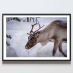 iarna, padure, peisaj, bucuresti, tablouri scandinave, poster 50x70, tablouri, postere romania, tablouri moderne, design interior, cabana