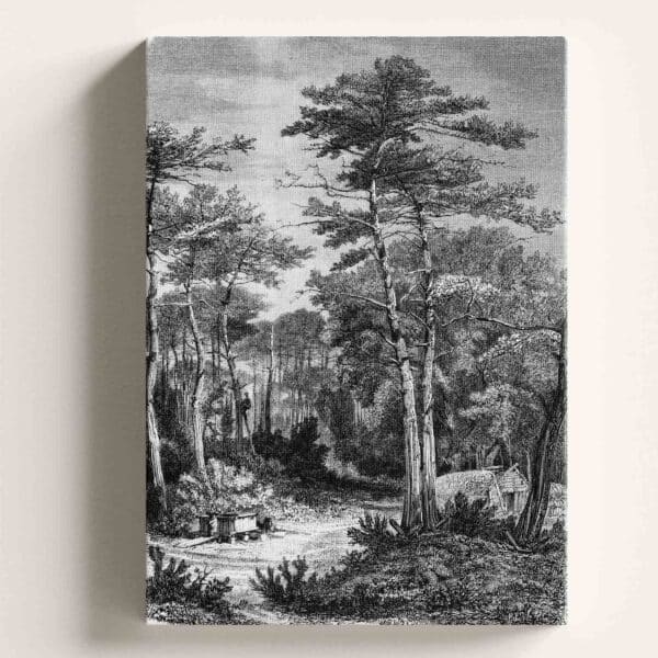 tablou ieftin, tablou canvas, cele mai frumoase tablouri canvas, tablouri canvas mari, tablou living, tablou canvas mare, tablou canvas dormitor, tablou canvas hol, tablou printat, tablou ieftin, tablou cadou, tablou cadou, tablou canvas abstract, tablou gri, decoratiuni perete, tablou alb negru, tablou padure, tablou schita, tablou vintage